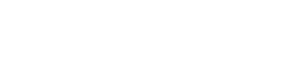 fragile Report